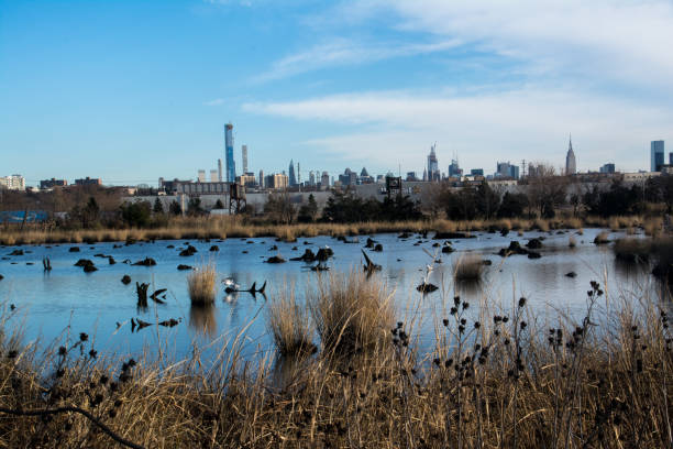 istock Meadowlands Park in Seacaucus NJ 1214765856