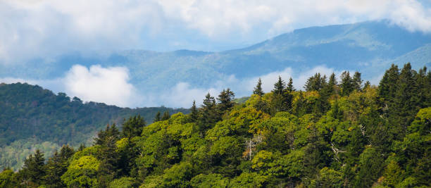 istock Foggy Morning in the Mountain Valleys 1214767098