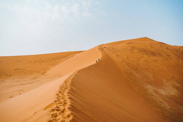 istock Walking on the sand dunes, Namibia, Africa 1214767476