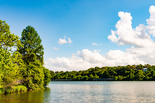 This is a color photograph of a scenic outdoor landscape of the Colorado River in Austin, Texas on a sunny spring day.