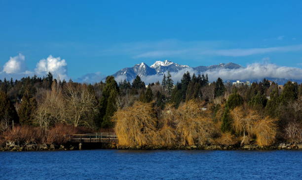 istock Mountain View From the River Park 1214771135