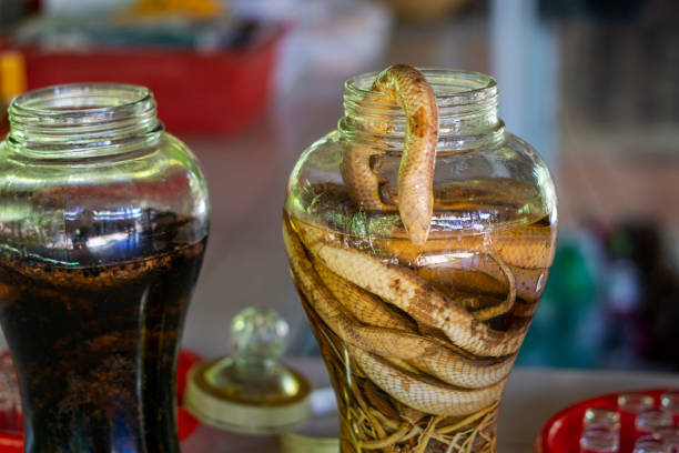 istock The traditional snake wine at Vietnam 1214771241
