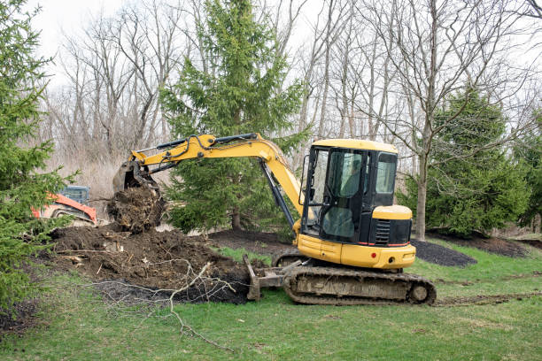 Backhoe Removing Tree Root stock photo