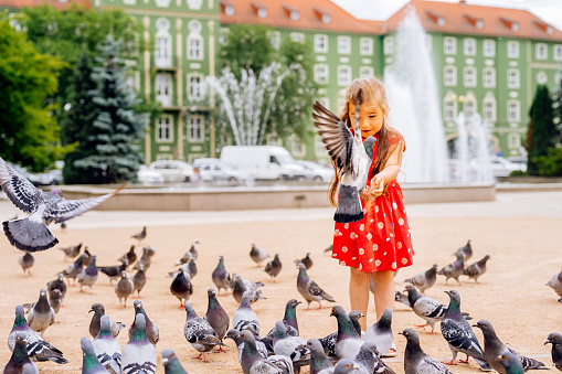 Young Caucasian white girl feeding many pigeons, some flying around or sitting down. Blurred fountain and green building in background