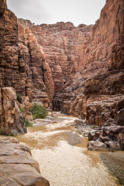 istock Landscape of Jordan 1214776732