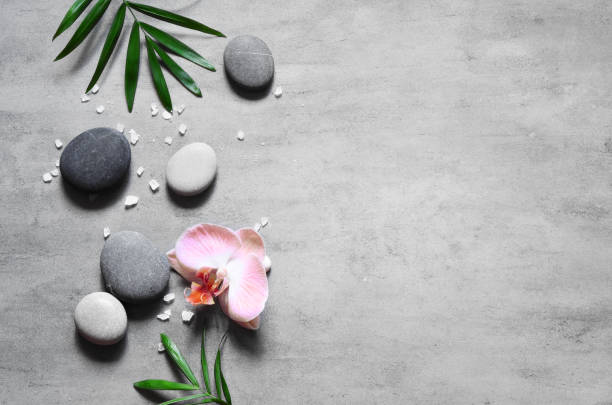 istock Spa concept on stone background, palm leaves, flower, zen, grey stones, top view, copy space. 1214776764