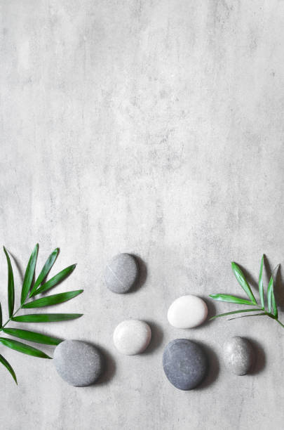 istock Grey spa background, spa concept, palm leaves and grey stones, top view. 1214776906