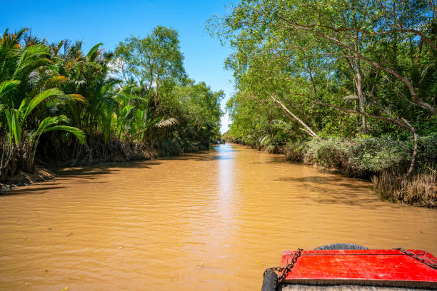 istock The Mekong Delta in Vietnam 1214776923