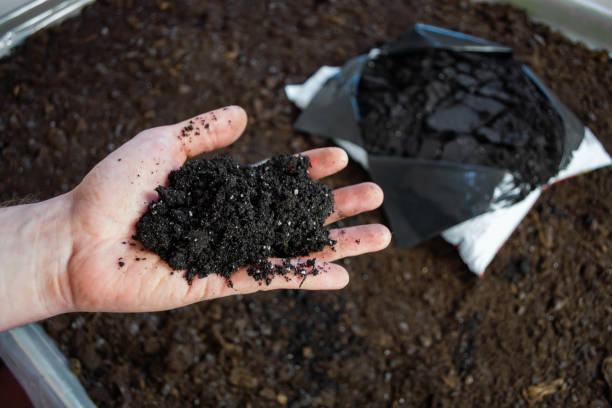 istock black soil in man hand closeup outdoor 1214776947
