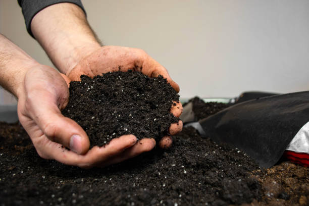 istock black soil in man hand closeup outdoor 1214777017