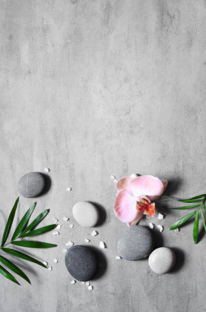 istock Spa concept on stone background, palm leaves, flower, zen, grey stones, top view, copy space. 1214777049