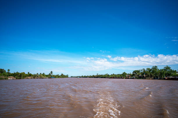 The Mekong Delta in Vietnam is a vast maze of rivers, swamps and islands, floating markets, Boats are the main means of transportation, and tours of the region.