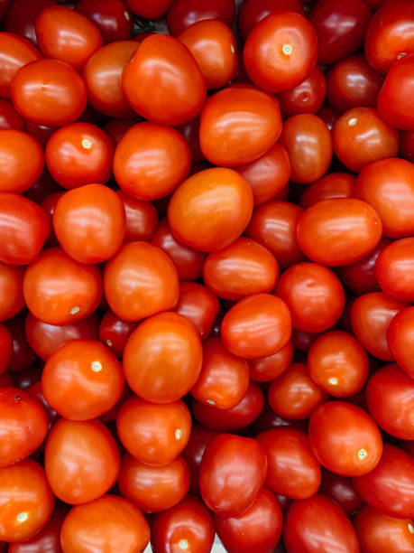 istock lots of red ripe tomatoes for eating like a background 1214778575