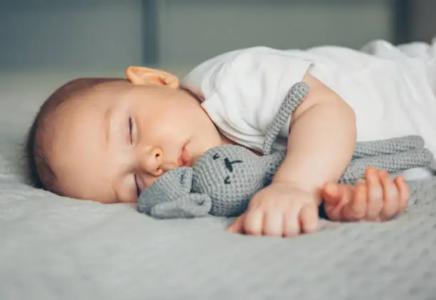 Photo of Sweet newborn baby sleeps with a gray toy hare