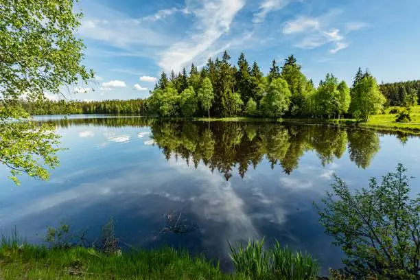 A lake close to Marianske Lazne surrounded with forest. Sunny summer landscape with blue sky and white clouds and reflection in water.