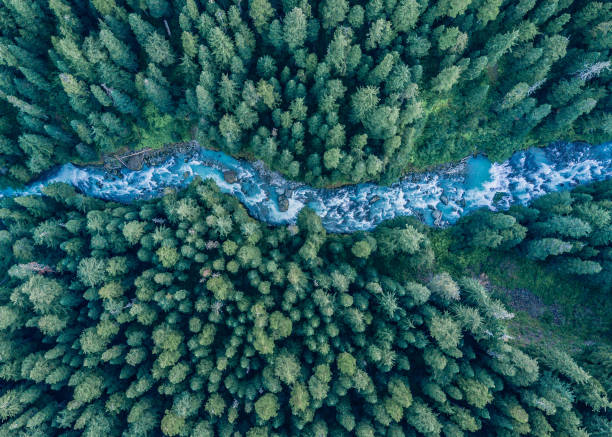 istock Landscapes of BC 1214786786