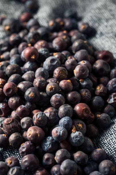 istock Raw Purple Organic Juniper Berries 1214787694