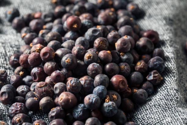 istock Raw Purple Organic Juniper Berries 1214787797