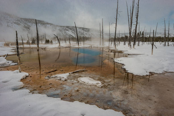 piscina termal opalescent en la cuenca de arena negra de la cuenca del géiser superior, parque nacional yellowstone. los colores específicos de los géiseres derivan del hecho de que a pesar de las condiciones aparentemente duras, la vida se encuentra a  - opalescent fotografías e imágenes de stock