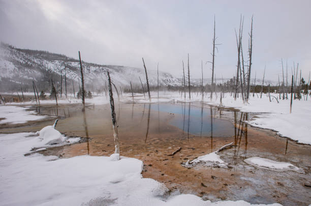 piscina termal opalescent en la cuenca de arena negra de la cuenca del géiser superior, parque nacional yellowstone. los colores específicos de los géiseres derivan del hecho de que a pesar de las condiciones aparentemente duras, la vida se encuentra a  - opalescent fotografías e imágenes de stock