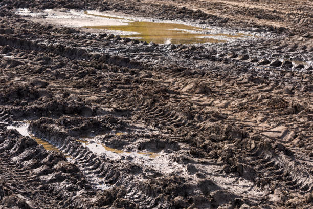http://teekid.com/istockphoto/banner/banner3.jpgMuddy Road