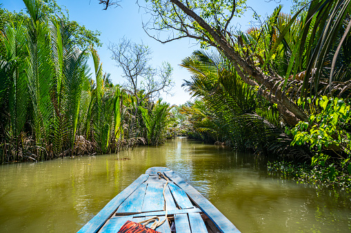 The Mekong Delta in Vietnam is a vast maze of rivers, swamps and islands, floating markets, Boats are the main means of transportation, and tours of the region.
