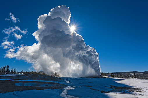 Old Faithful Geyser in the Upper Geyser Basin of Yellowstone National Park in the winter with steam. Sun.