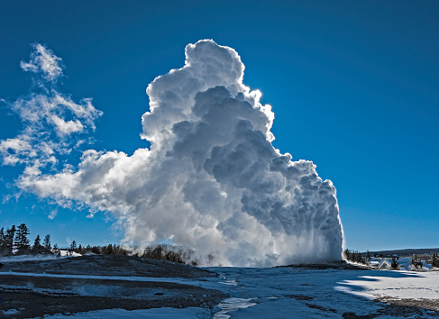 Old Faithful Geyser in the Upper Geyser Basin of Yellowstone National Park in the winter with steam.