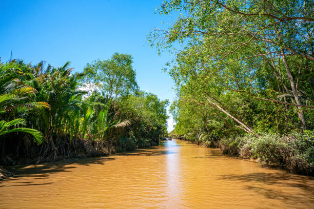 istock The Mekong Delta in Vietnam 1214797431