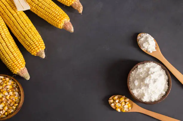 Corn starch in wooden bowl and spoon with dried corn groats, kernels on rustic table. corn ingredients concept