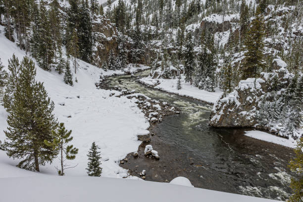 istock Firehole rapids on the Firehole River in Yellowstone National Park. 1214803175