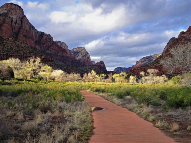 istock Zion Park area of Utah 1214806860