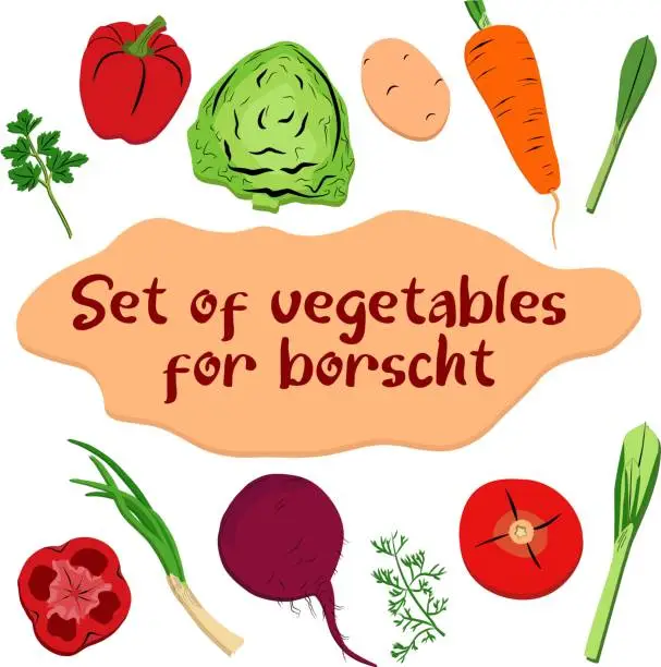 Vector illustration of Ingredients for preparation of borscht. Different colorful vegetables clipart set.