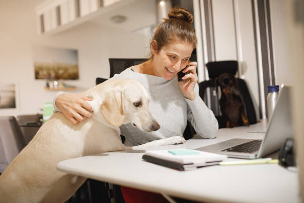 istock Pet owner embracing her dog while talking on phone 1214808034