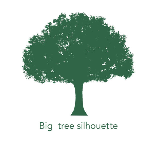 Big tree silhouette Big tree silhouette big tree stock illustrations