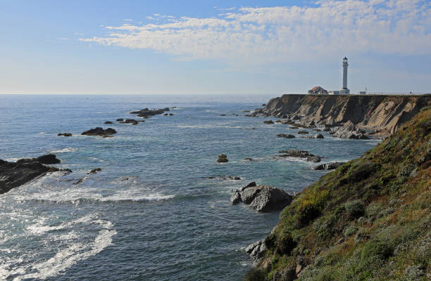 istock Landscape with Point Arena lighthouse 1214810679