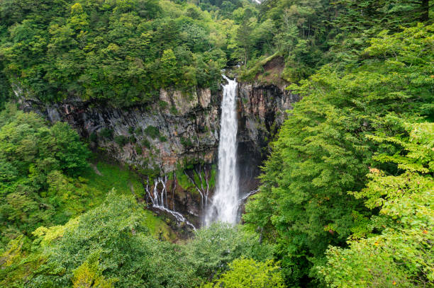 cascata nel paesaggio forestale. kegon cade a nikko, giappone - water beauty in nature waterfall nikko foto e immagini stock