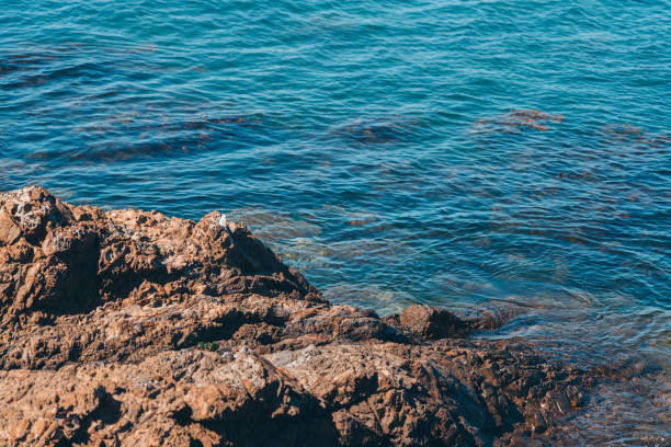 istock Sea Wave and rock; natural background 1214813853
