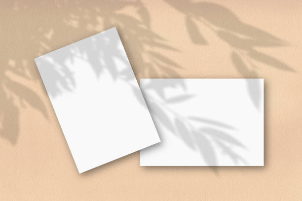 istock 2 sheets of white textured paper against abortion yellow wall. Mockup with an overlay of plant shadows. Natural light casts shadows from the tree's foliage. Flat lay, top view 1214818261