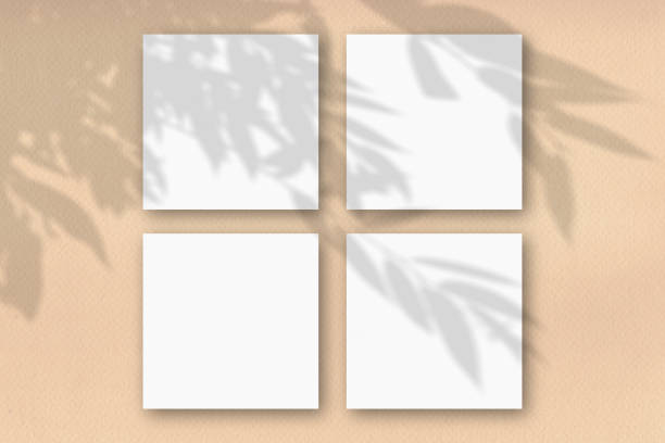 istock 4 square sheets of white textured paper against a beige wall. Mockup overlay with the plant shadows. Natural light casts shadows from the tree's foliage. Flat lay, top view 1214818792