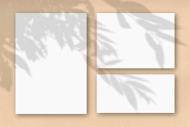 istock Several horizontal and vertical sheets of white textured paper on the background of a sand-colored wall. Mockup overlay with the plant shadows. Natural light casts shadows from the tree's foliage 1214818802