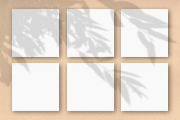istock 6 square sheets of white textured paper against a beige wall. Mockup overlay with the plant shadows. Natural light casts shadows from the tree's foliage. Flat lay, top view 1214818807
