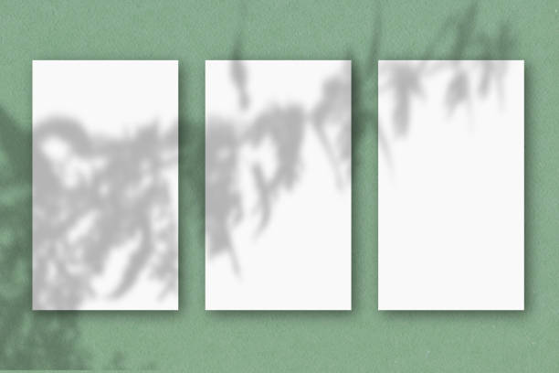 istock 3 vertical sheets of white textured paper on a green wall background. Mockup with an overlay of plant shadows. Natural light casts a shadow from the top of the field plants and flowers 1214818830
