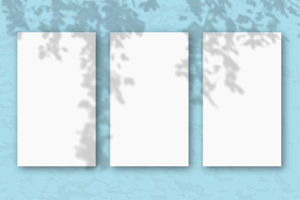 istock 3 vertical sheets of white textured paper on a pastel blue wall background. Mockup with an overlay of plant shadows. Natural light casts shadows from the tree's foliage 1214819009