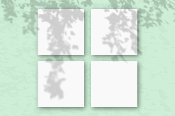 istock 4 square sheets of white textured paper against a green wall. Mockup overlay with the plant shadows. Natural light casts shadows from the tree's foliage. Flat lay, top view 1214819036