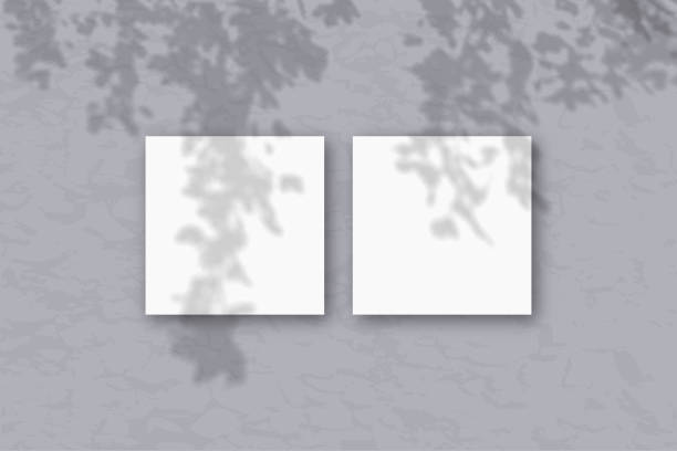 istock 2 square sheets of white textured paper against a gray wall. Mockup overlay with the plant shadows. Natural light casts shadows from the tree's foliage. Flat lay, top view 1214819548