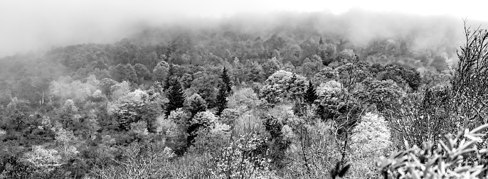 Autumn in the Appalachian Mountains Viewed Along the Blue Ridge Parkwa