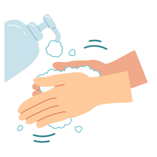Proper Hand Washing Procedure 2 Plenty Of Soap In Your Hands And Rub Your  Palms Well Stock Illustration - Download Image Now - iStock