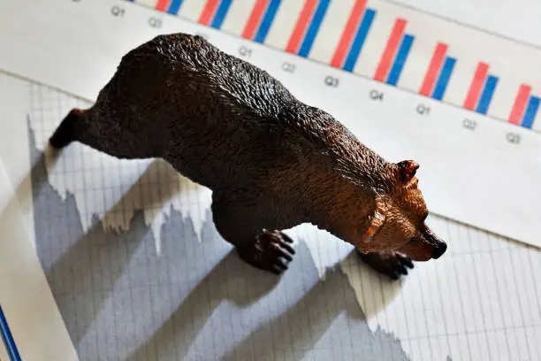 Photo of Bear Market