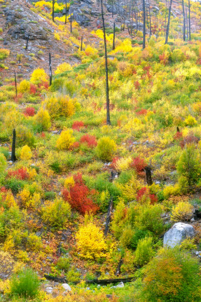 istock The Fall Scene Around Leavenworth in Washington 1214826181